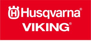 Viking Welcome Event